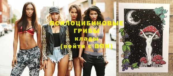 винт Арсеньев