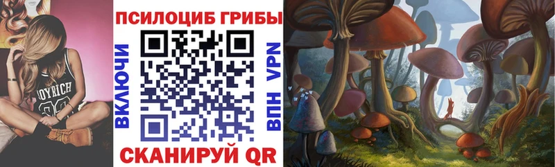 это как зайти  Тихвин  Галлюциногенные грибы Cubensis 